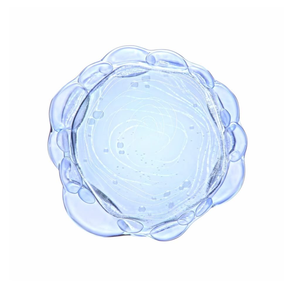 Pure niacinamide ingredient